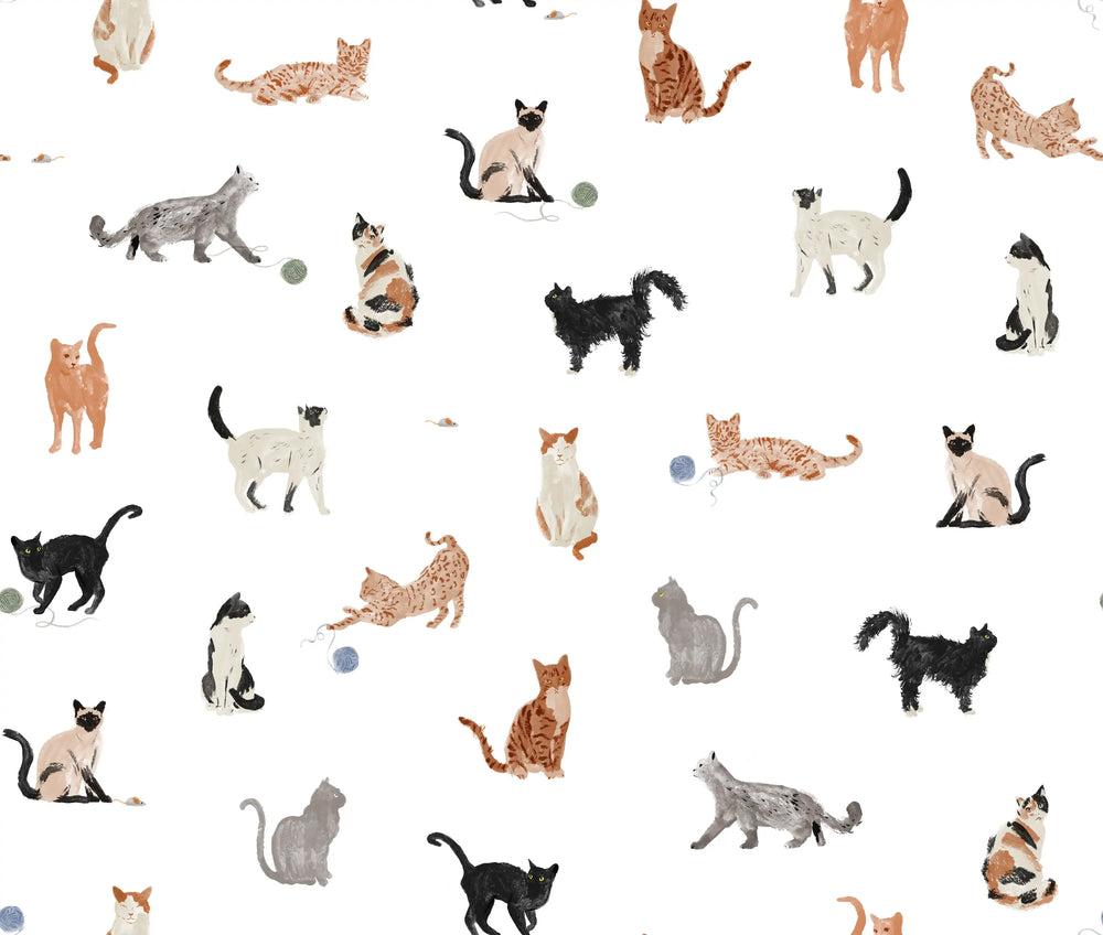 Cats