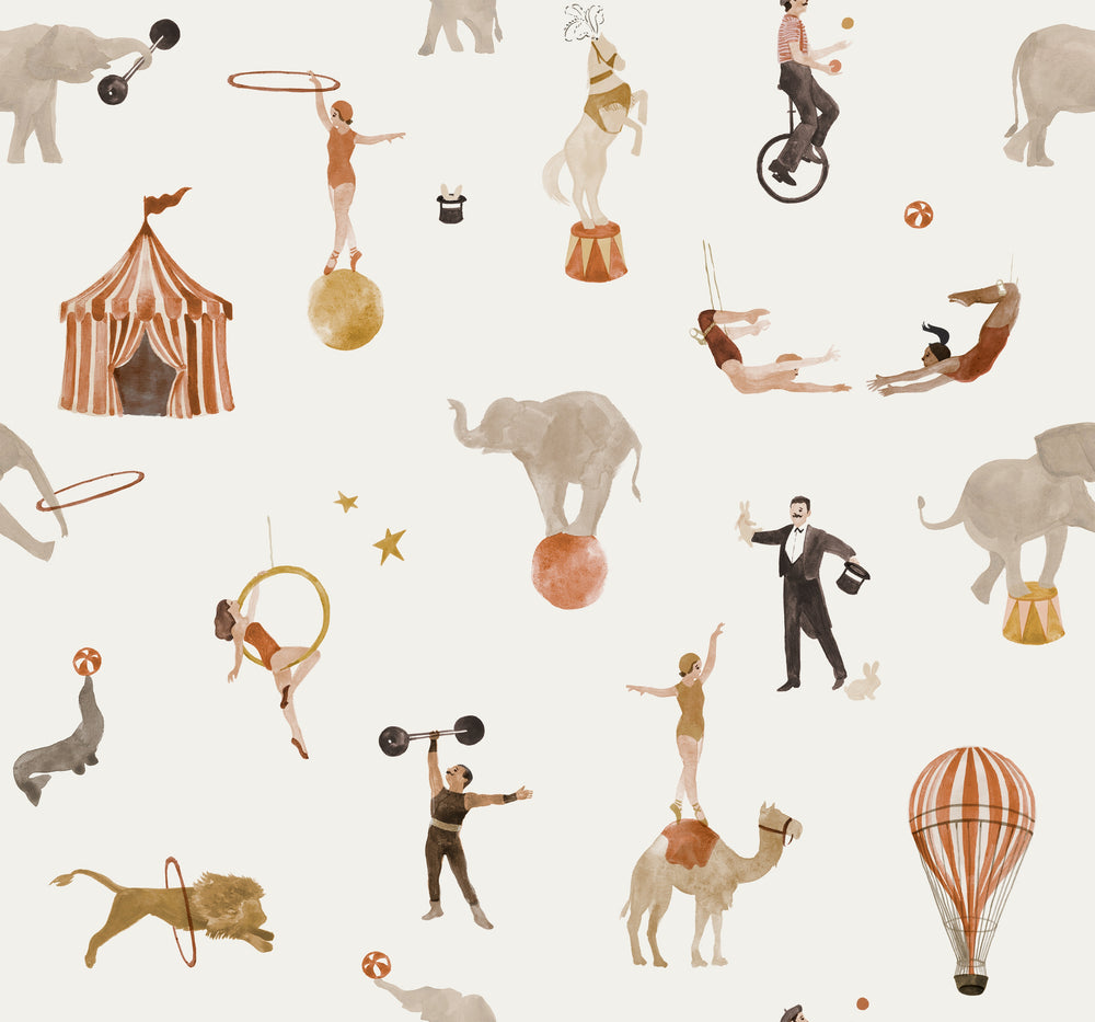 Circus