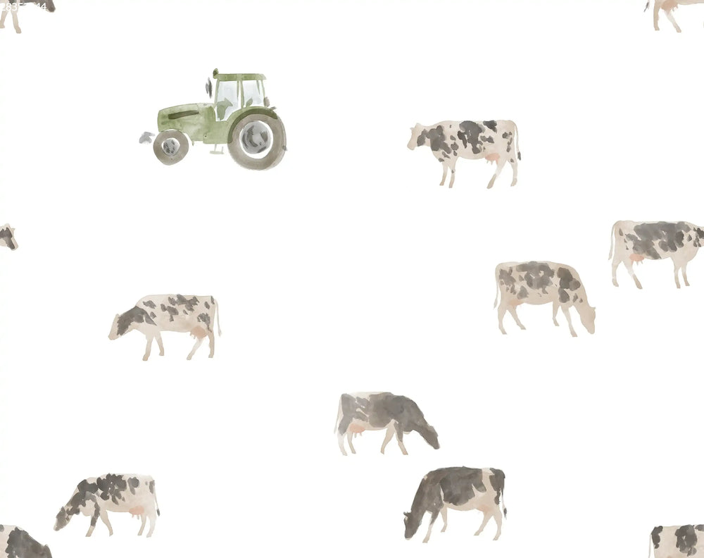 Cows