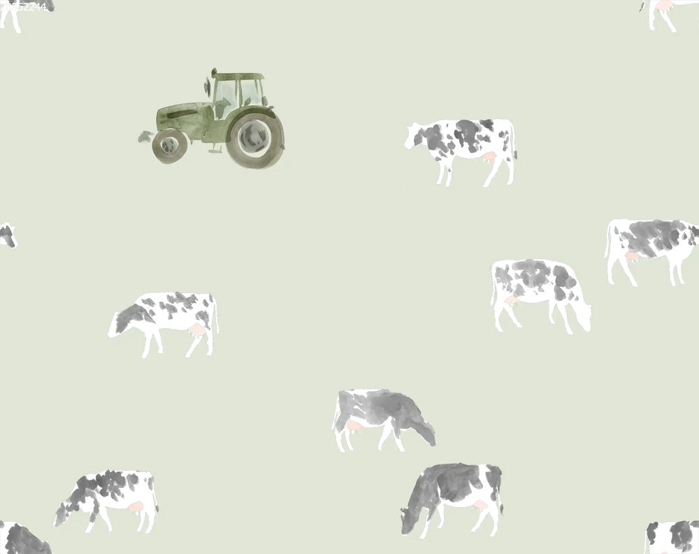 Cows Sage