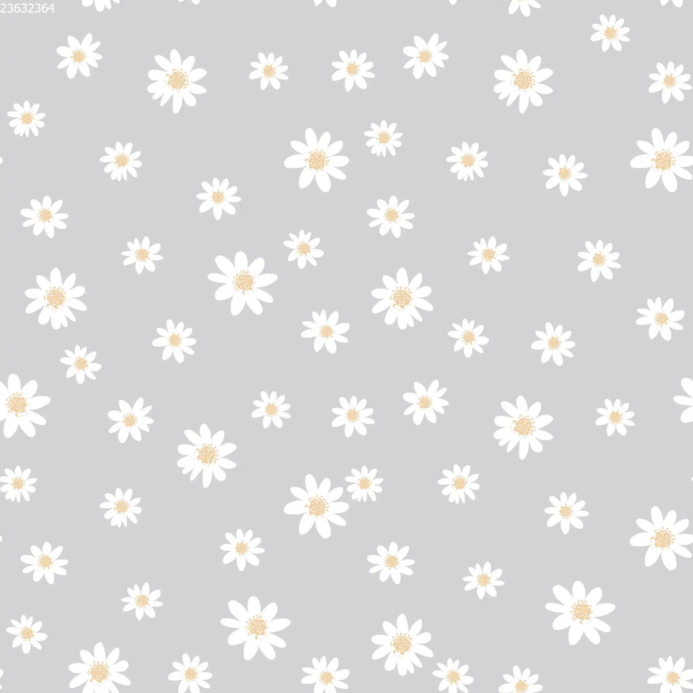 Daisies Sky