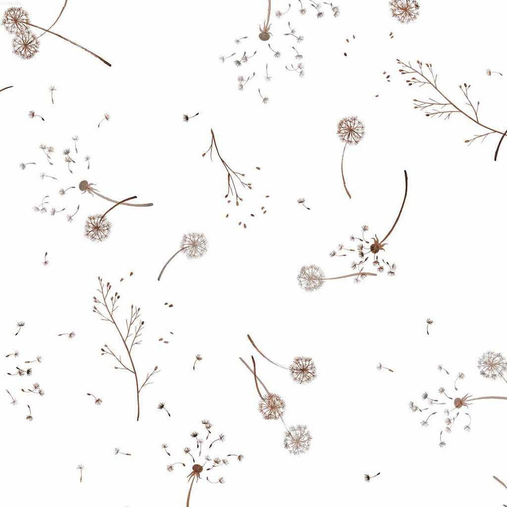 Dandelions White