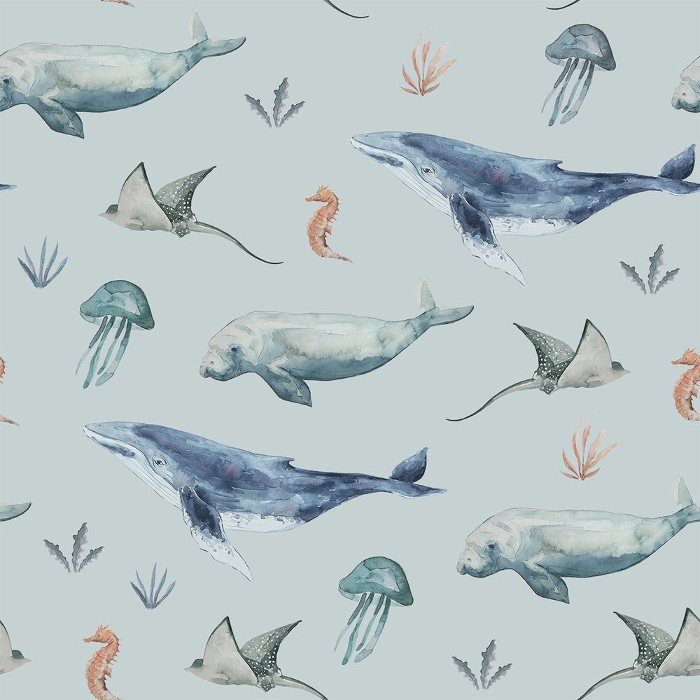 Deep Sea Life Special Edition