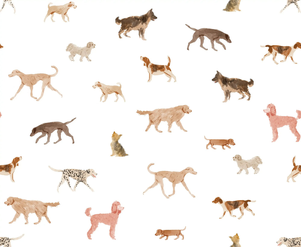 Dogs