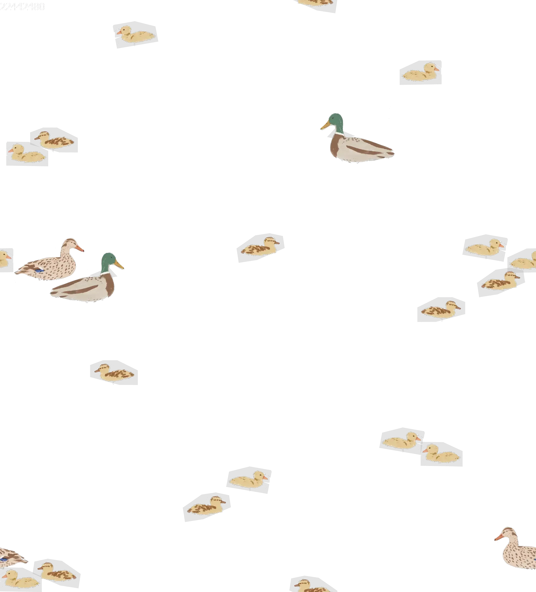Ducks - Family Fabrics B.V.