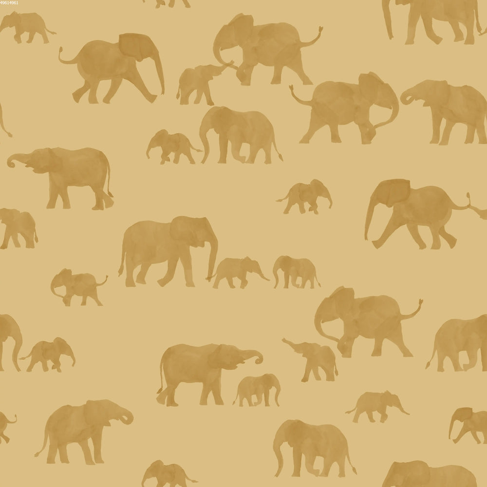 Elephants Jojoba