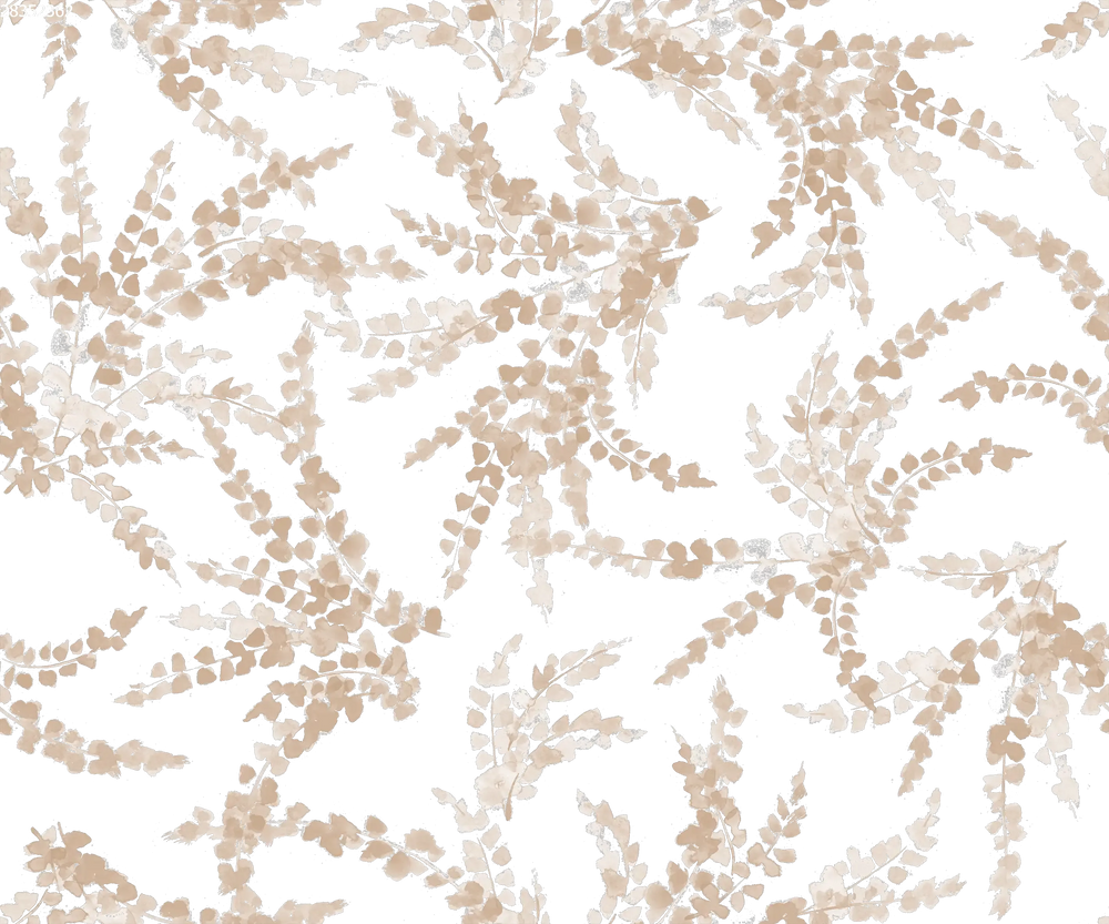 Ferns Latte