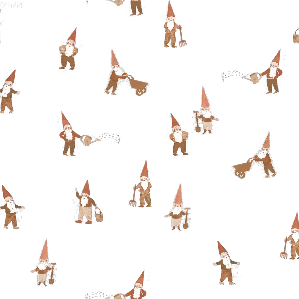 Gnomes Earth