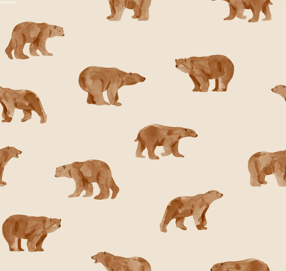 Grizzly Bear Sand