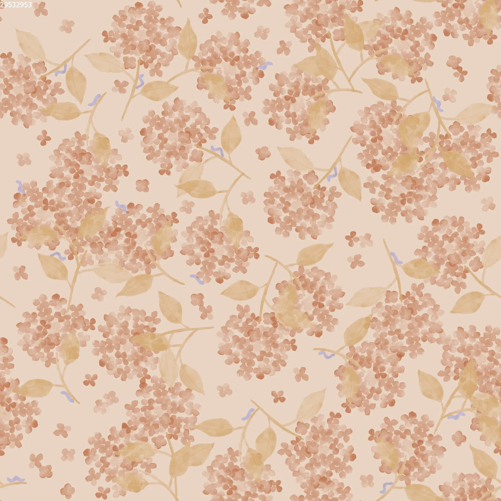 Hortensia Pink