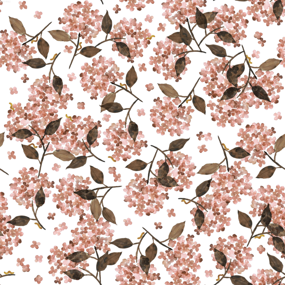 Hortensia Rosy
