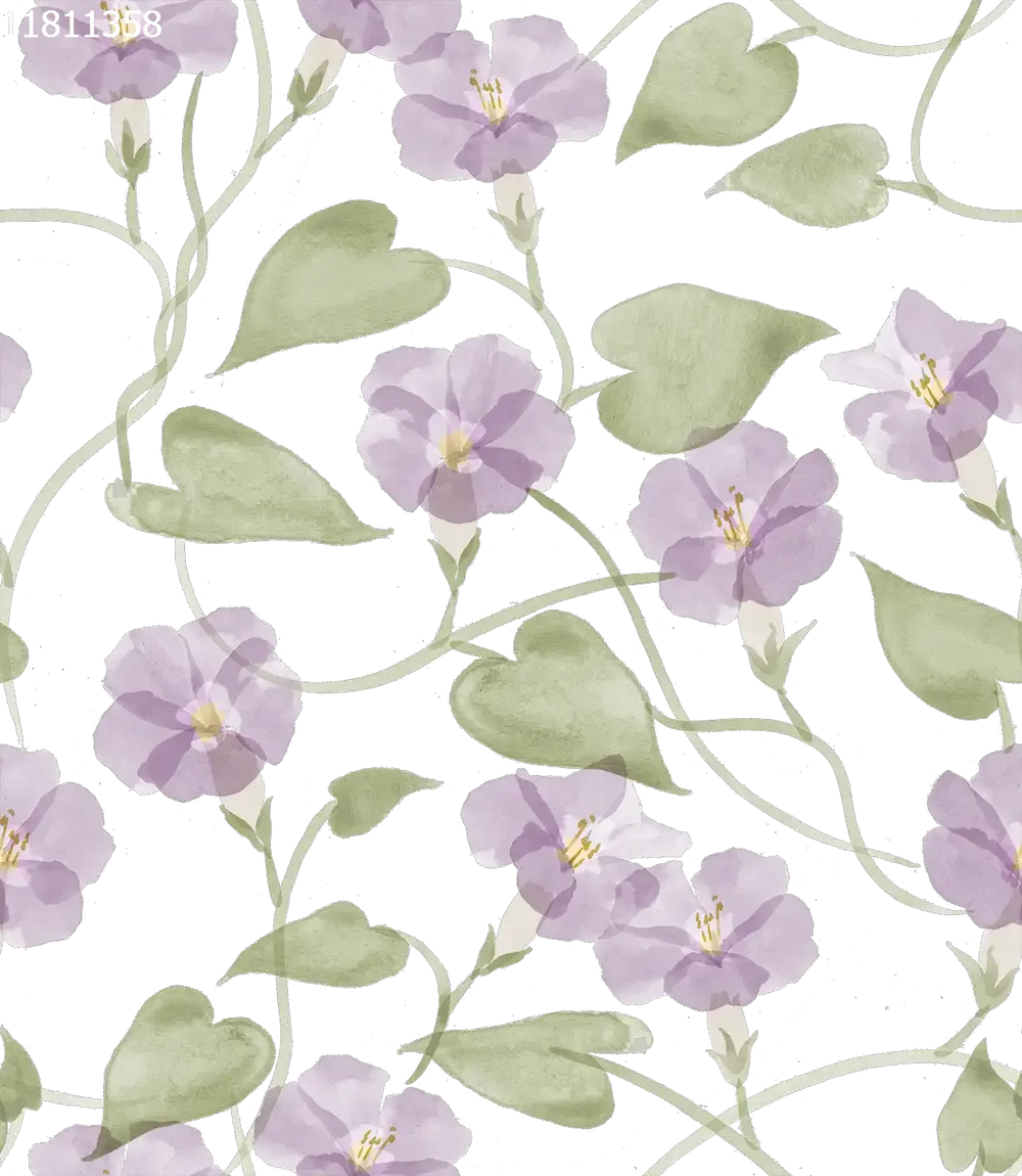 Ipomea Lilac White