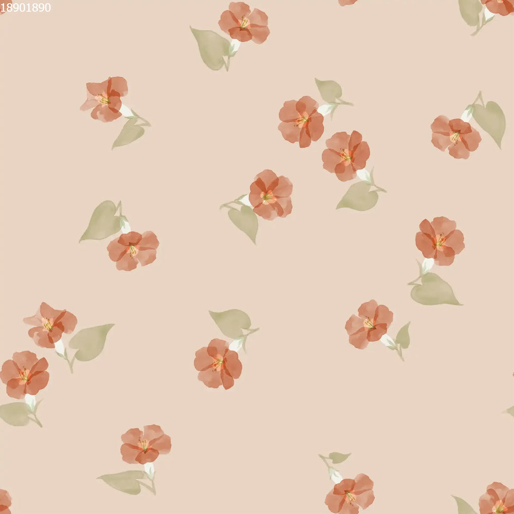 Ipomea Peach