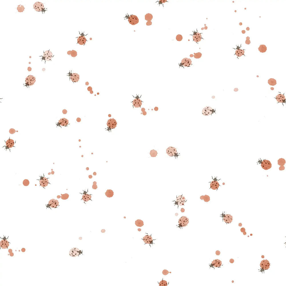 Ladybug