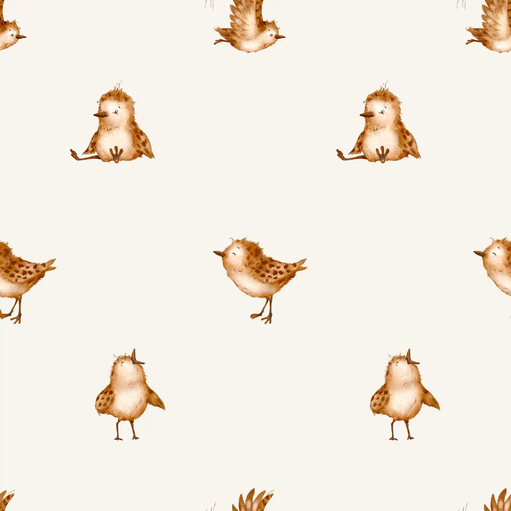 Little Feather