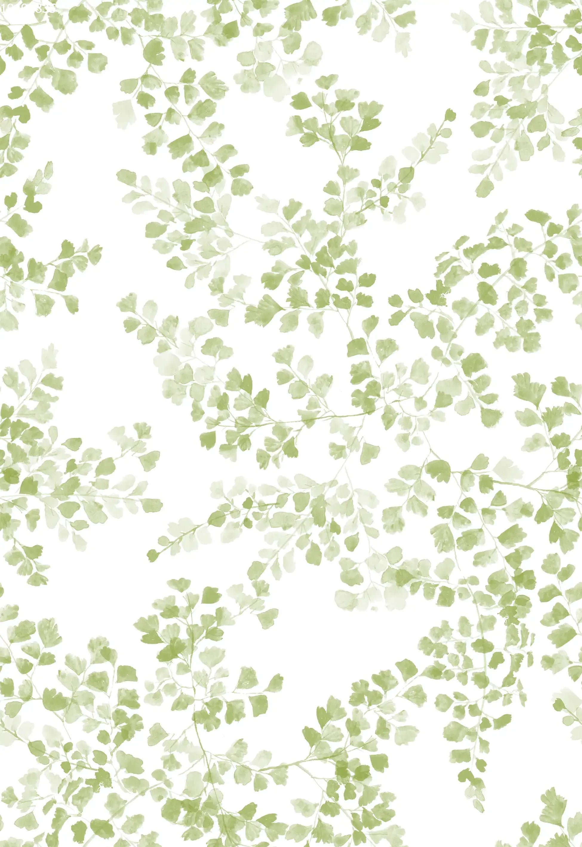 Maidenhair - Family Fabrics B.V.