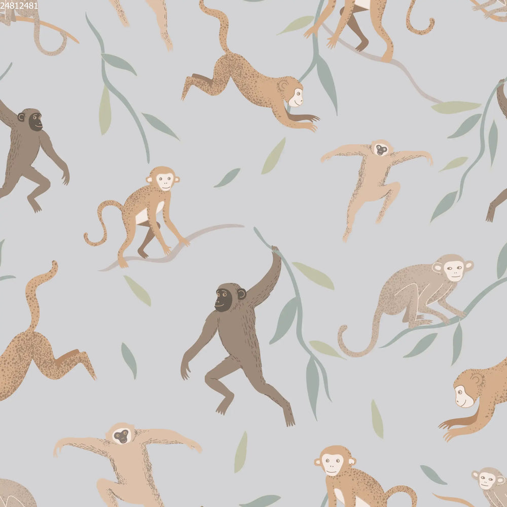 Monkeys Sky