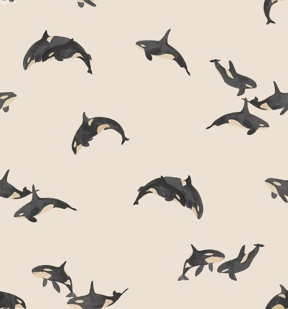 Orca Sand