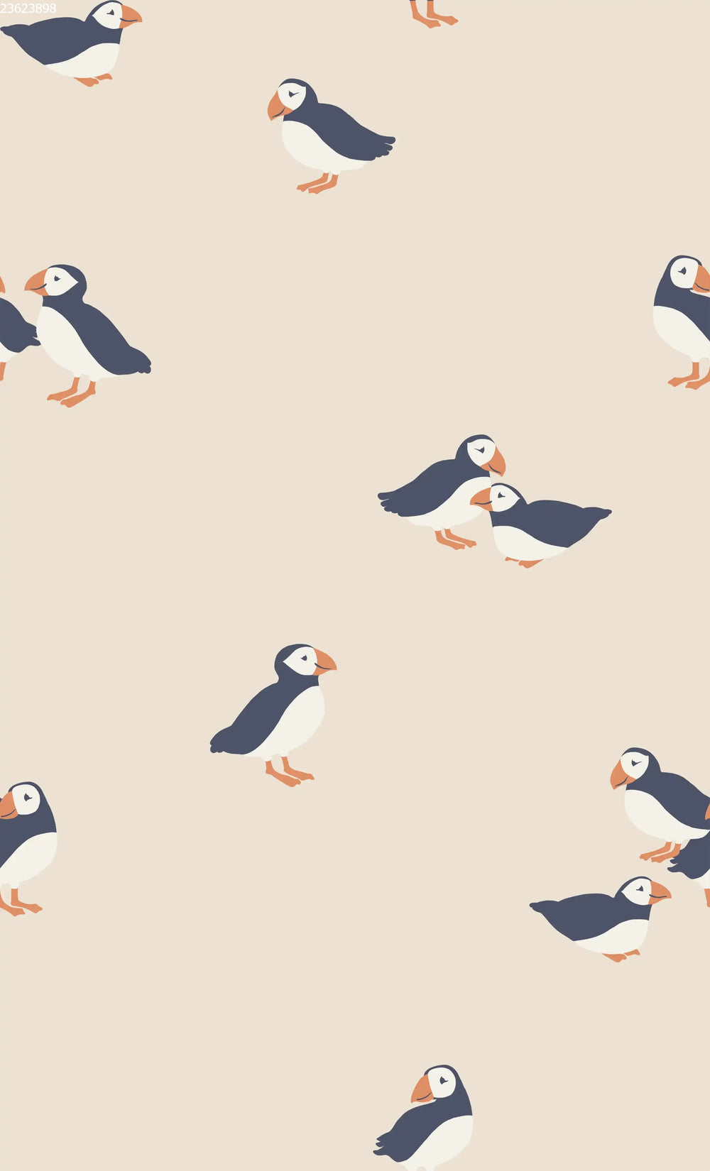 Puffin