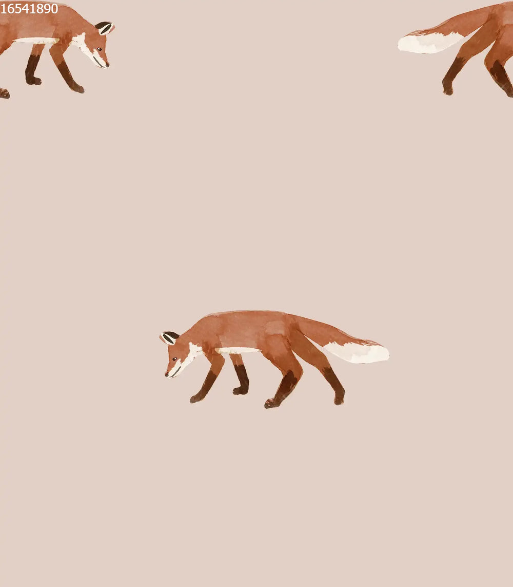 Reynard the Fox