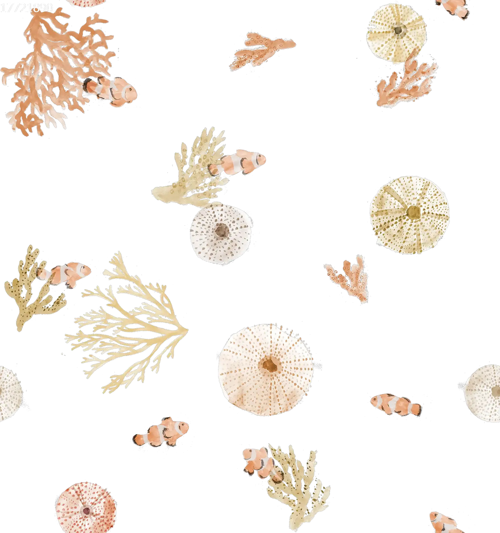 Sea Urchin