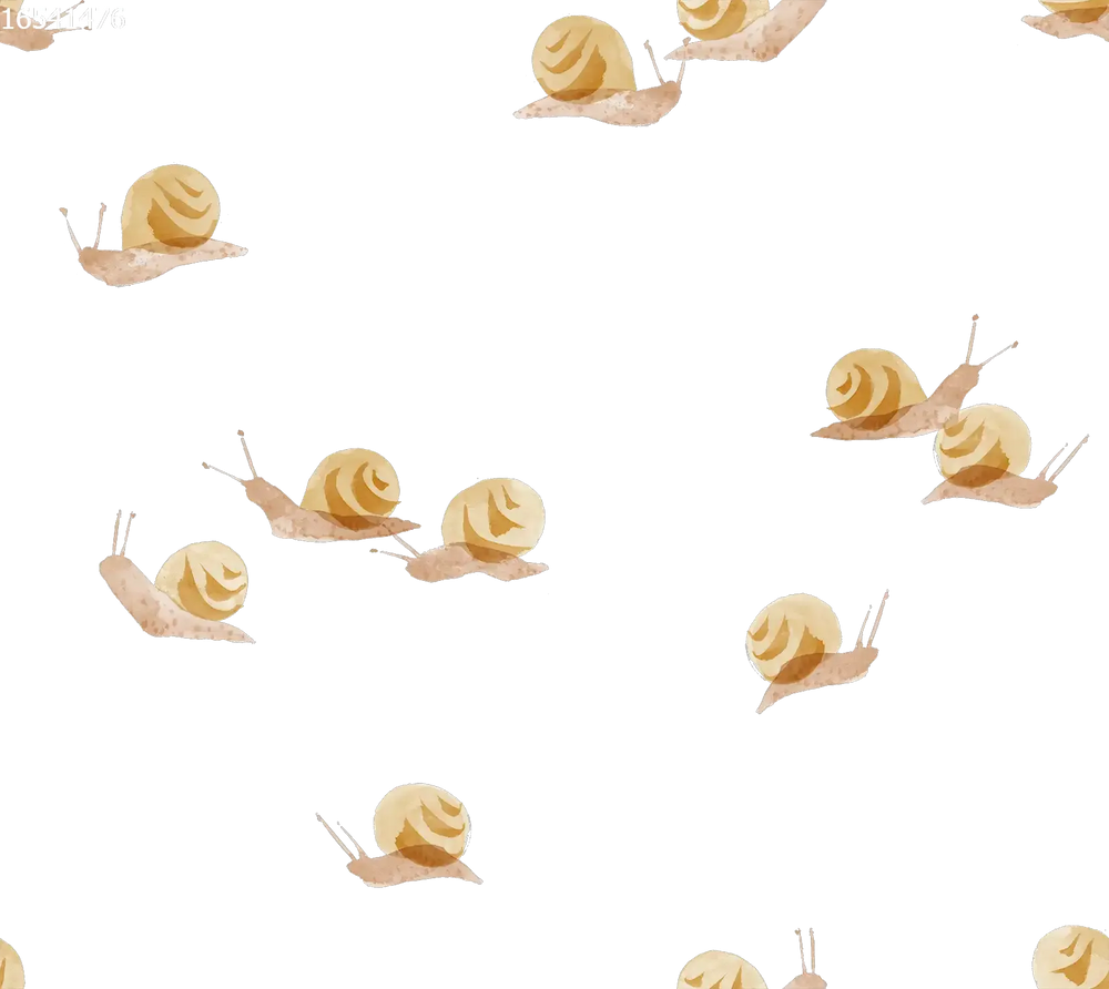 Snails