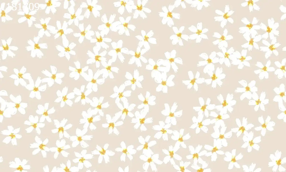 Snow in Summer