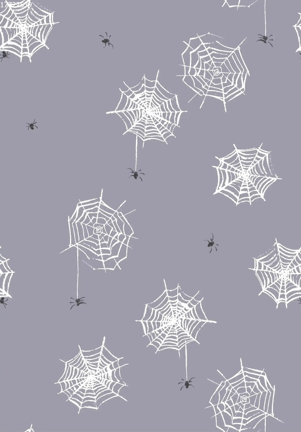 Spiderweb Sky