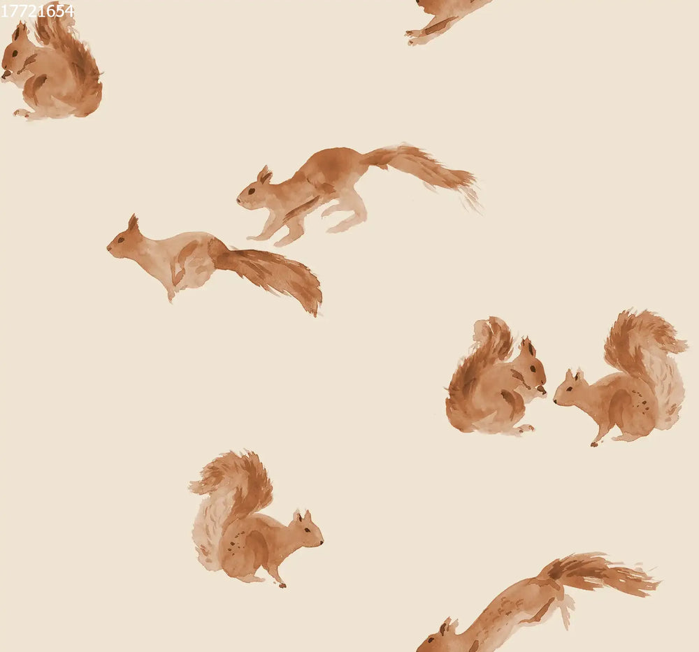 Squirrels