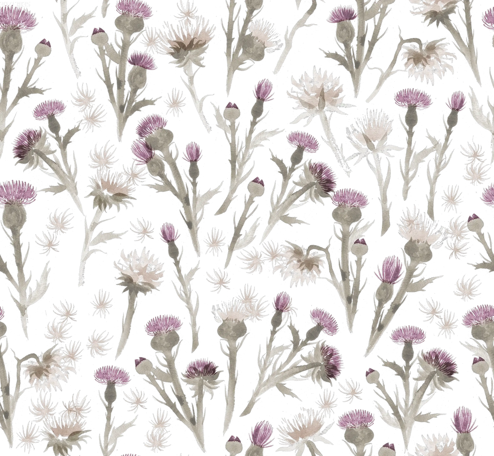 Thistle