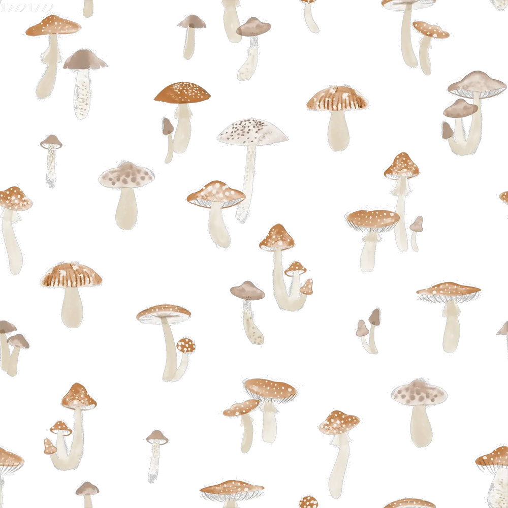Tiny Mushroom Brown White