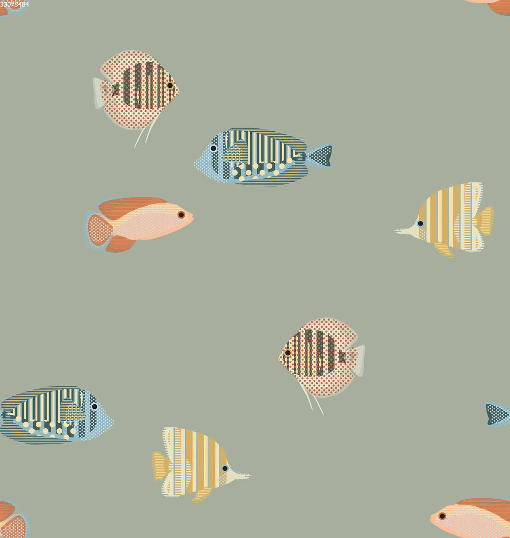Tropical Fish Sage