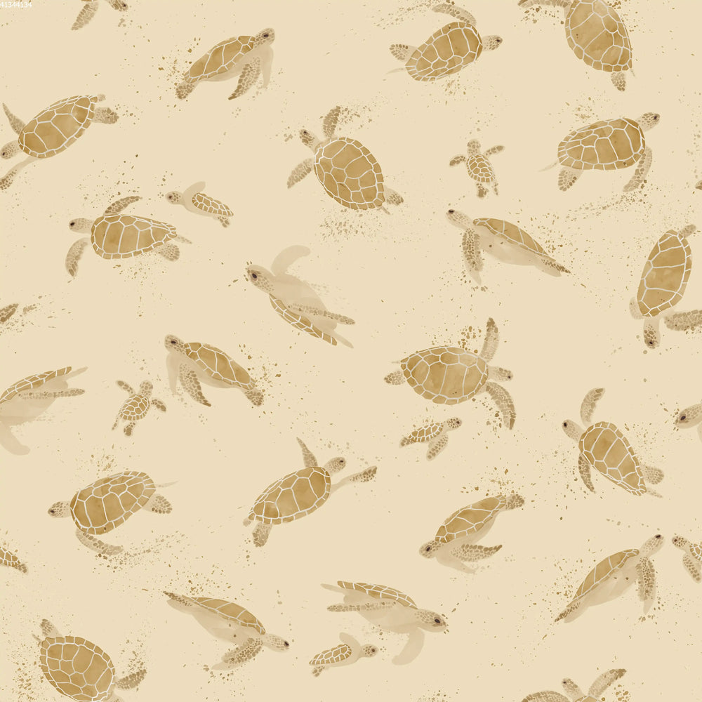Turtles Sand
