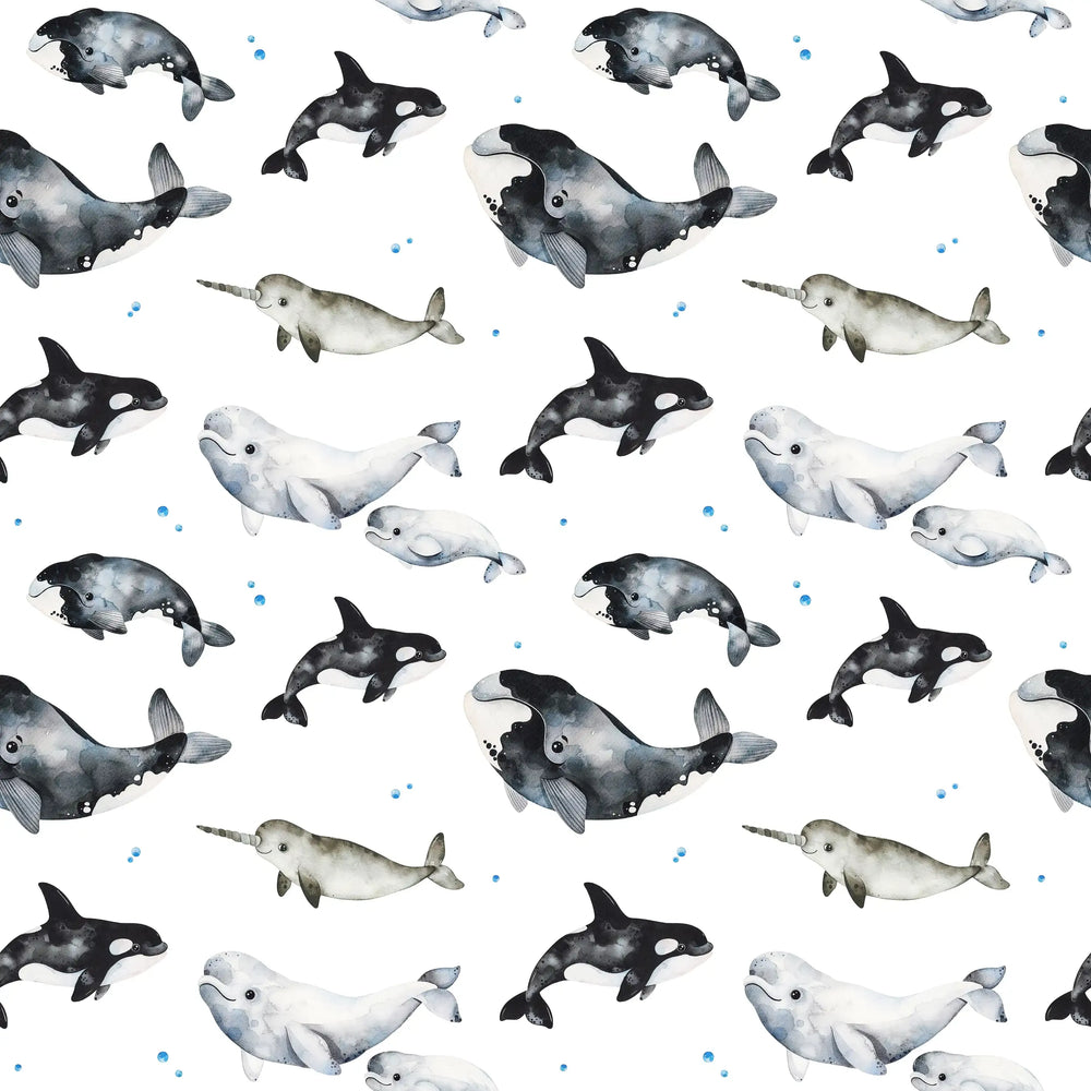 Whales