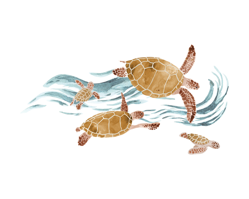 Turtles Transfer Film