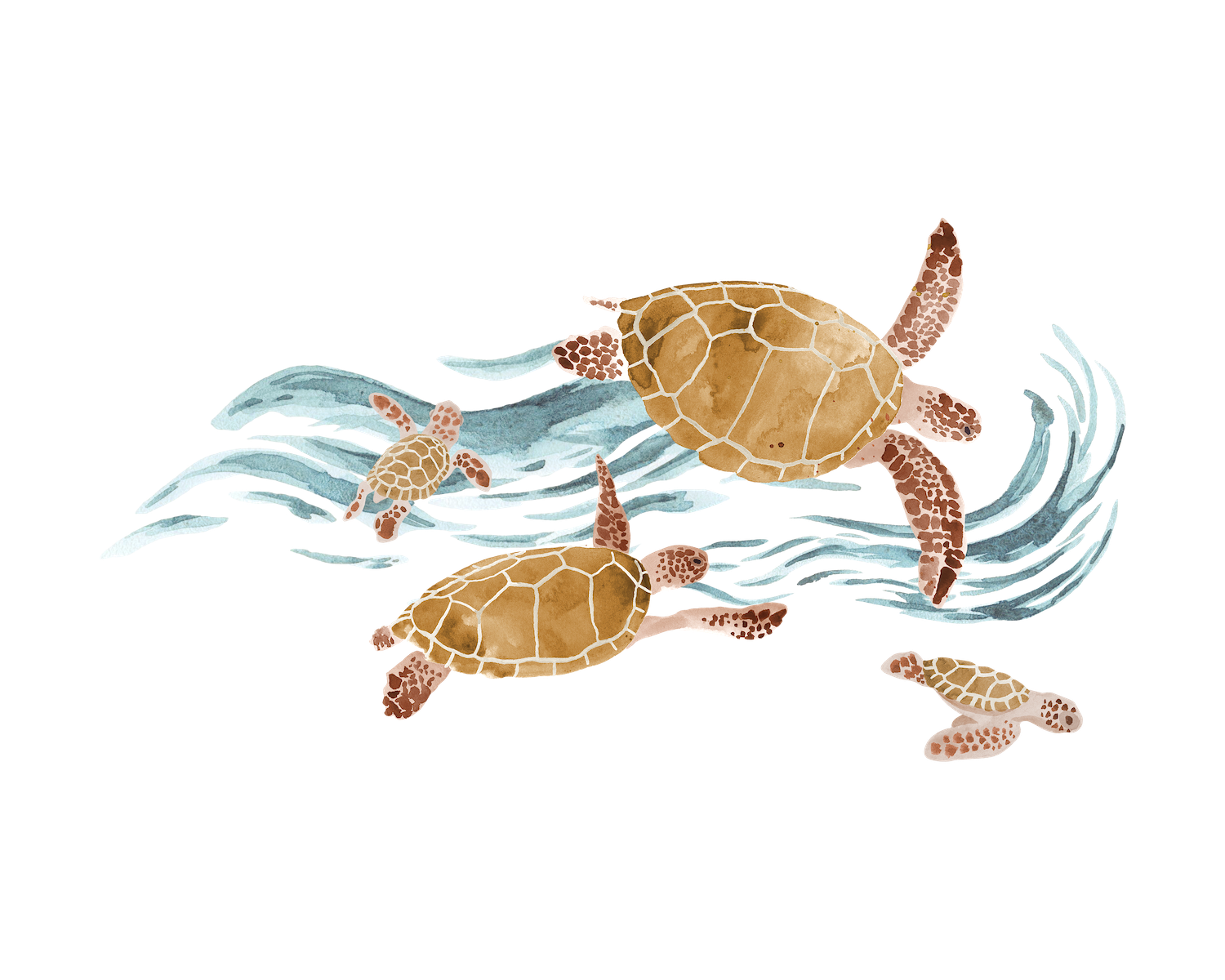 Turtles Transfer Film - Family Fabrics B.V.