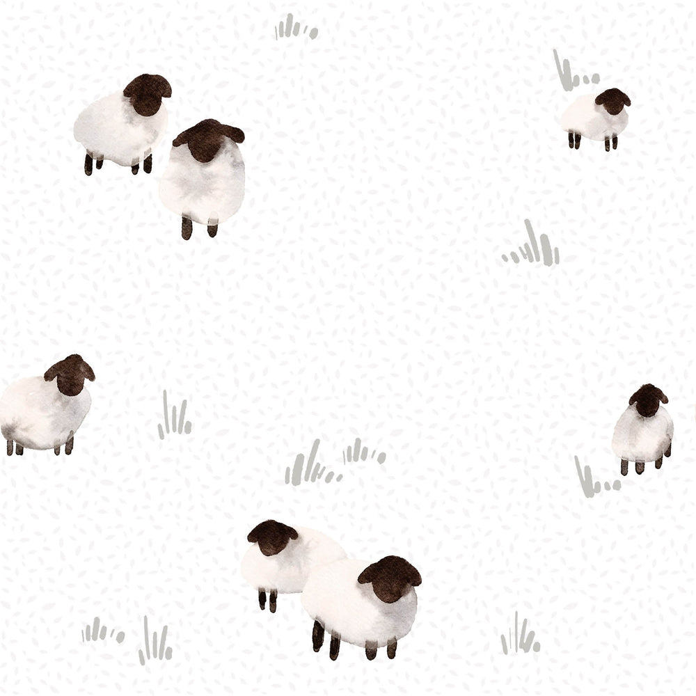 Sheep Meadow White