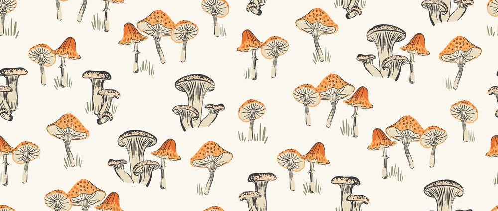 Little Mushroom Cream Orange