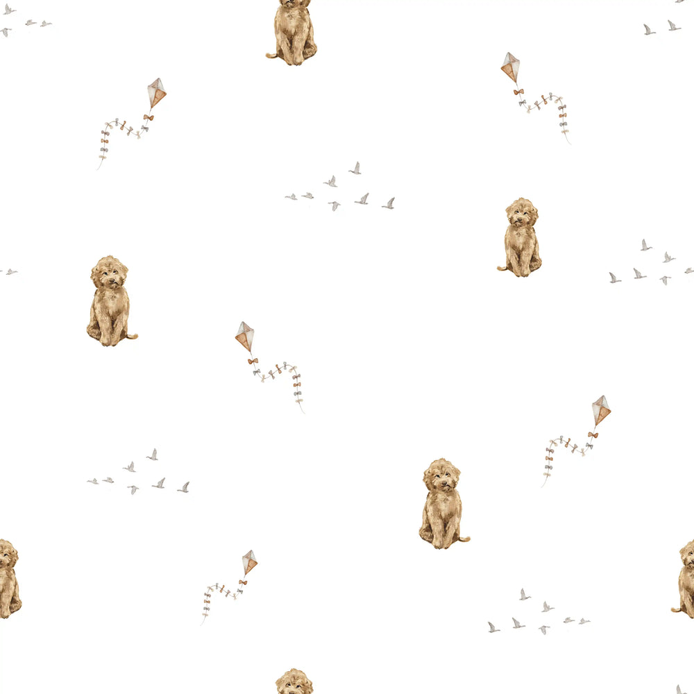 Labradoodle