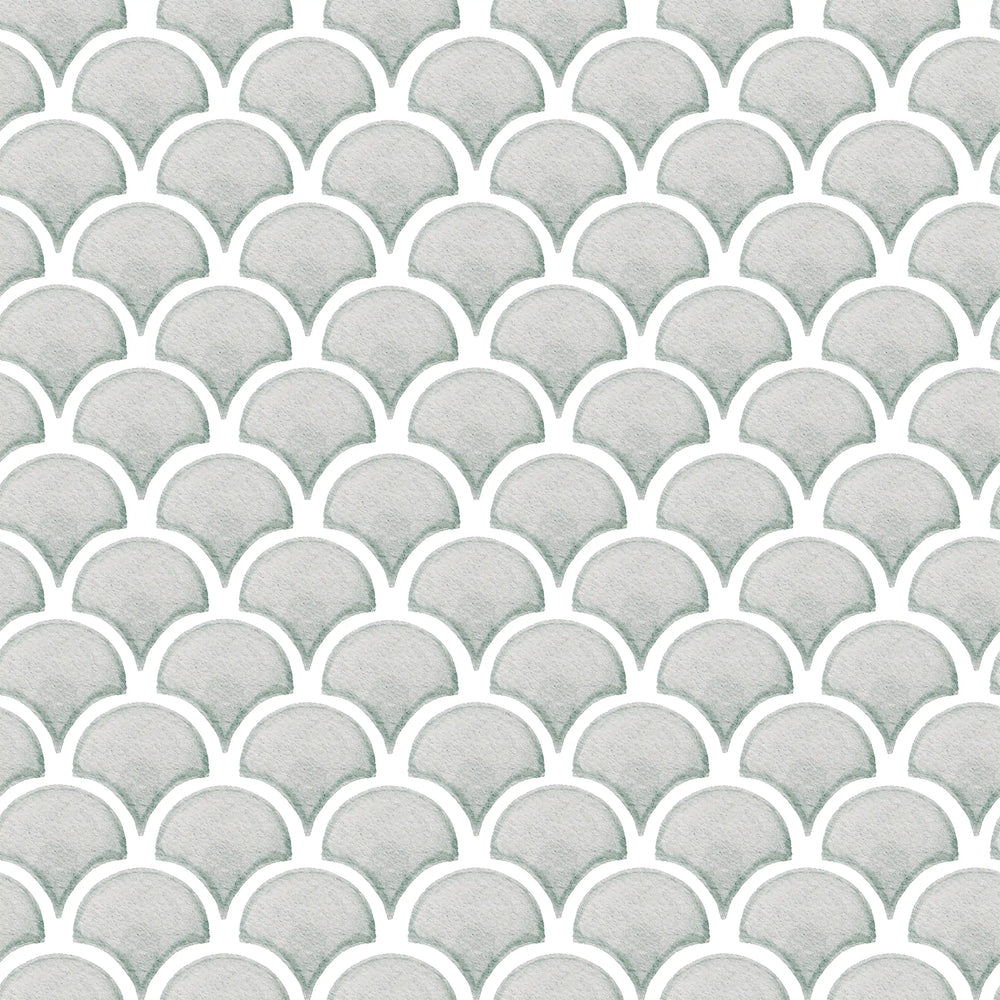 Shells Blue