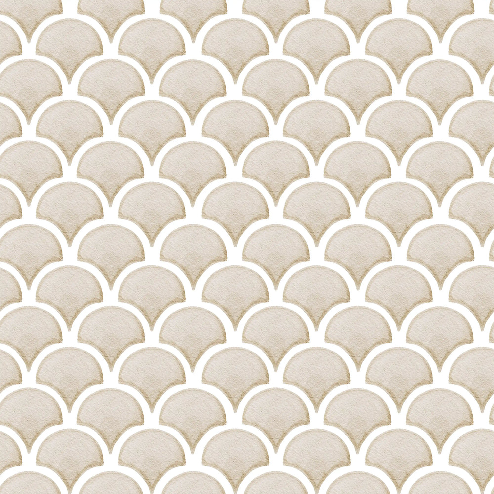 Shells Sand