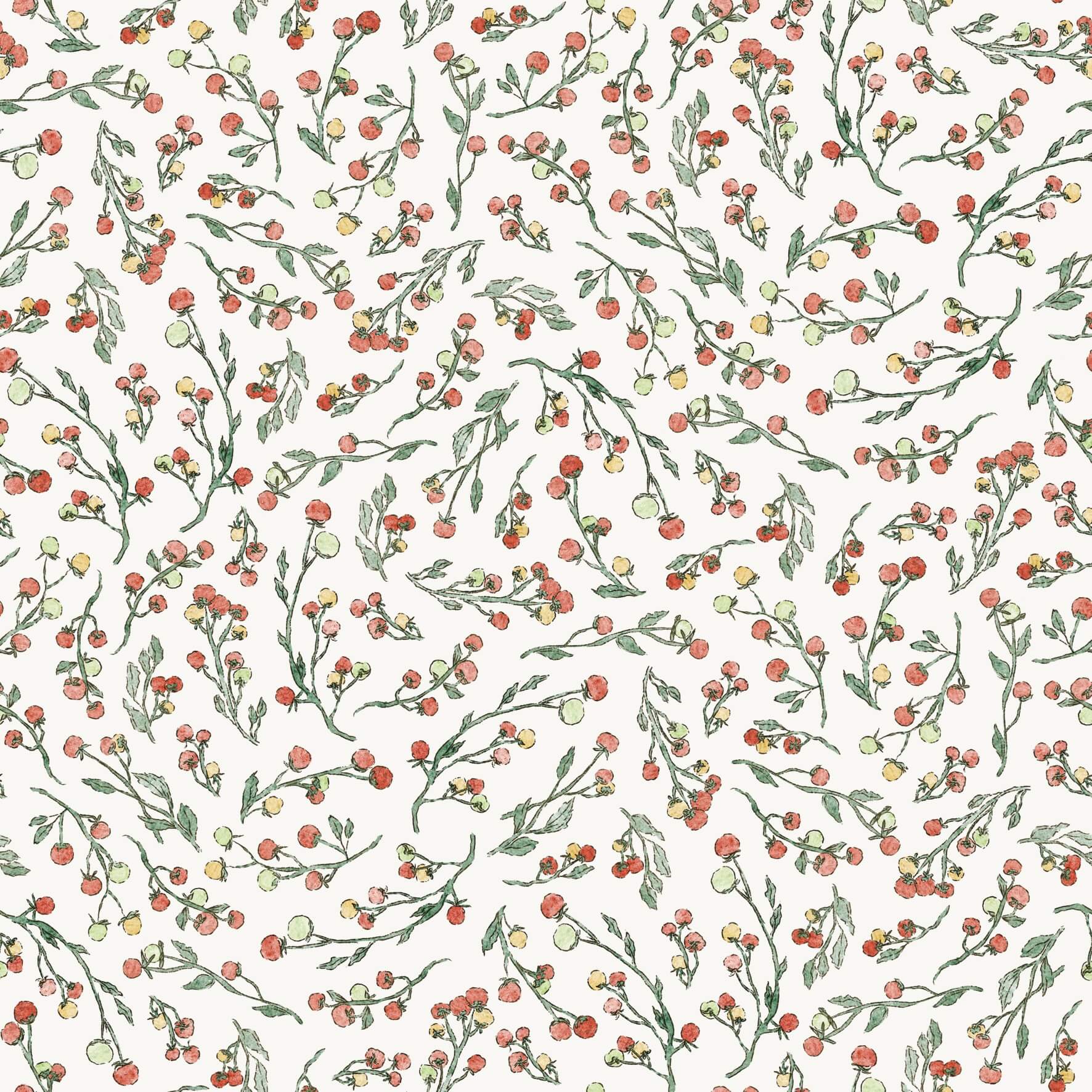 Cherry Tomatoes Tomias - Family Fabrics B.V.