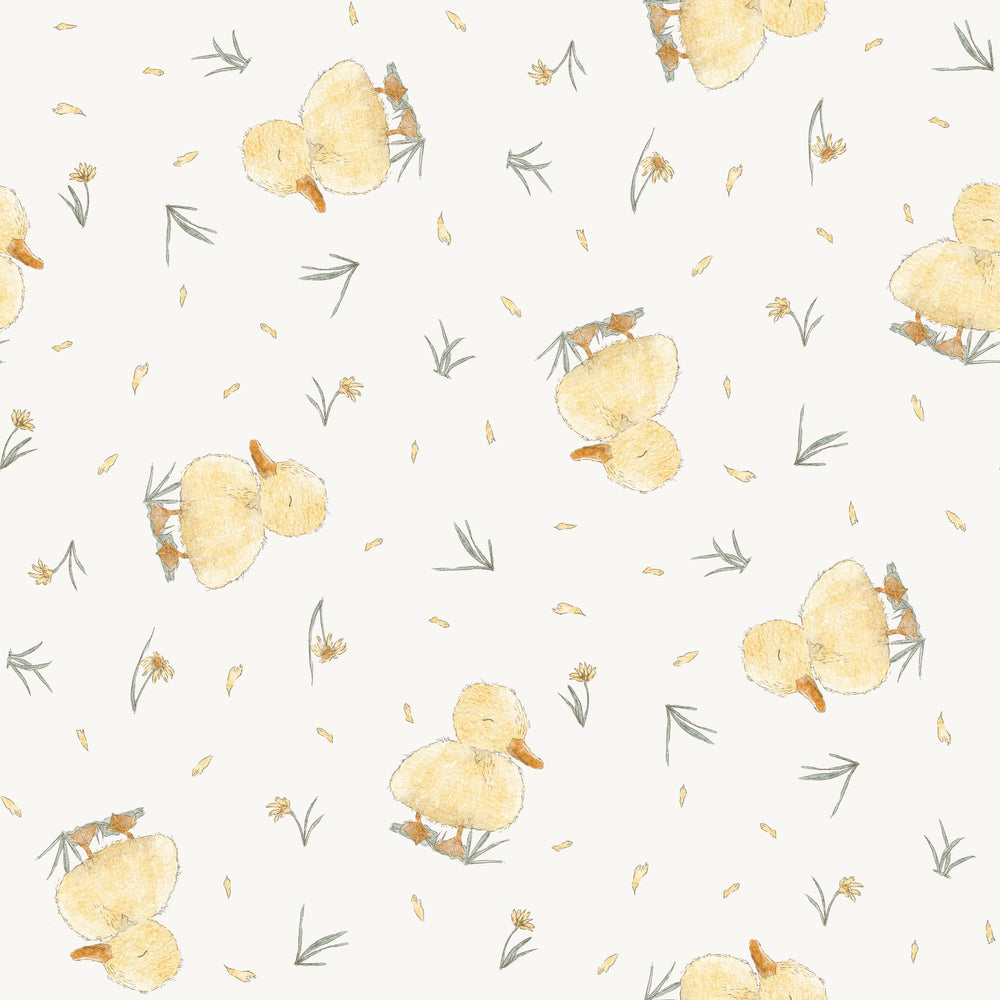Cute Ducklings