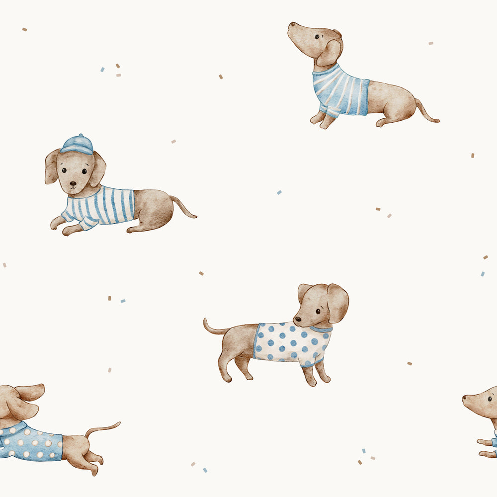 Dachshund Blue