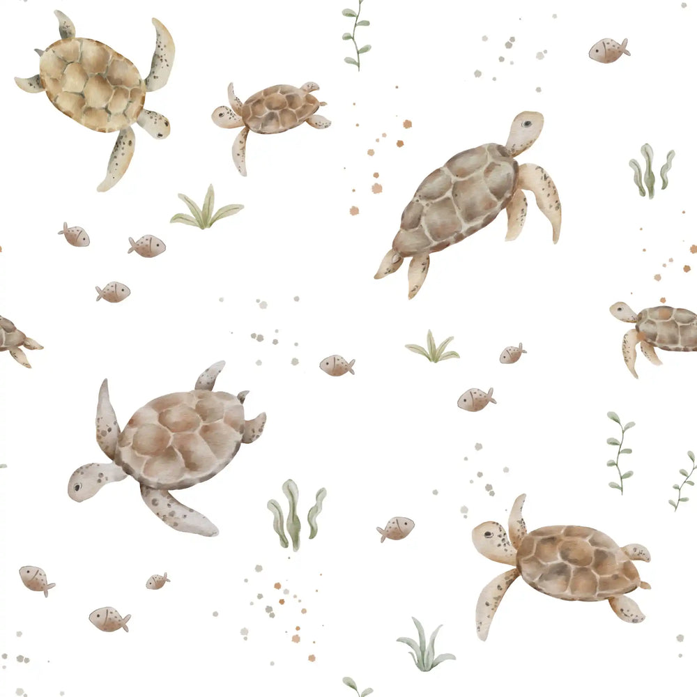 Turtles White
